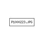 P1000223.JPG